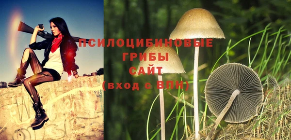 спиды Баксан