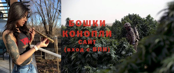гидра Осташков